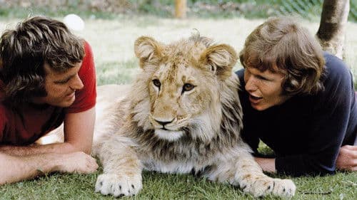 A Lion Called Christian Bild 1