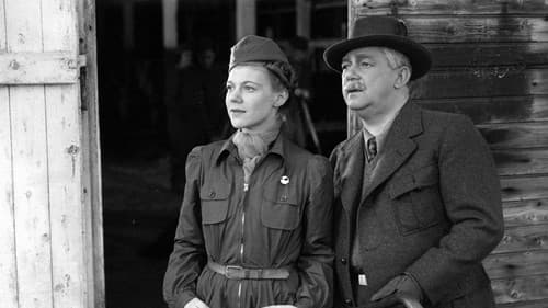 Landstormens lilla argbigga Bild 3