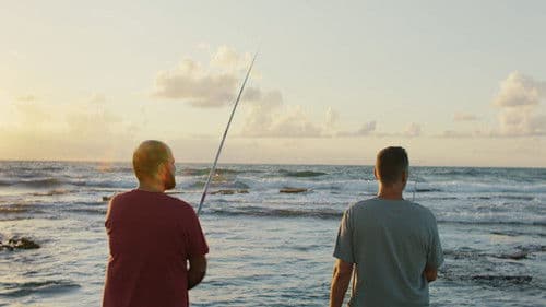 Mediterranean Fever Bild 3