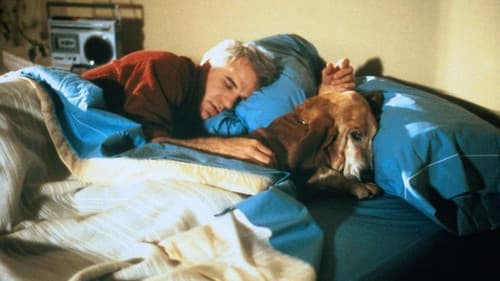 Ein Single kommt selten allein Bild 4