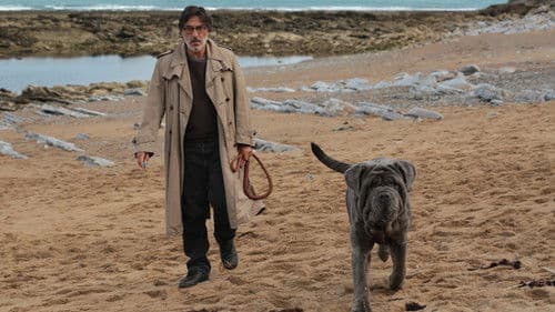 Der Hund bleibt Bild 4