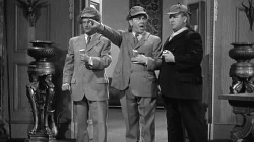 We Want Our Mummy Bild 4