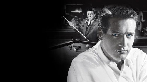 Haie der Großstadt Bild 8