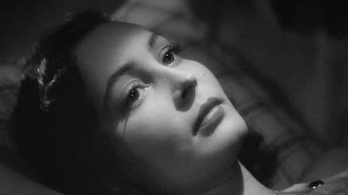 Unter den Brücken Bild 2