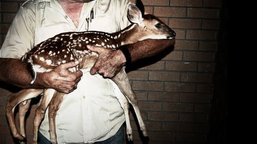 Weird, True & Freaky Bild 4