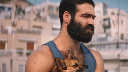 Der Sommer mit Carmen Bild 5