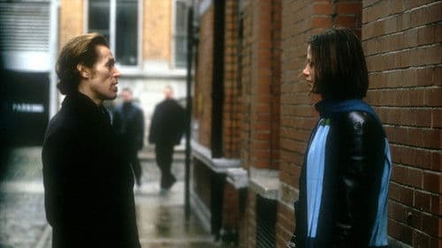 Lulu on the Bridge Bild 5