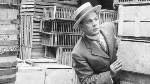 Too Much Johnson Bild 2