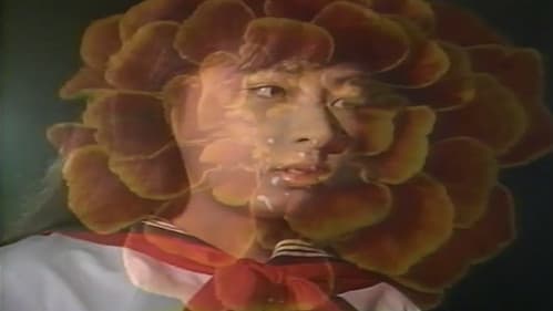 アリスの部屋 澪（したたり） Bild 2