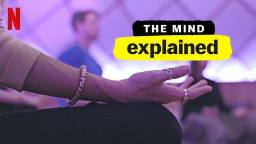 Explained: Unser Kopf Bild 8