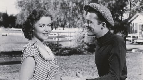 The Story of Seabiscuit Bild 5