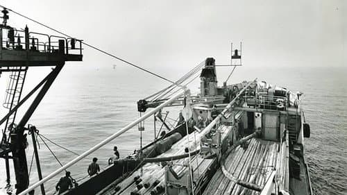 La via del petrolio Bild 4