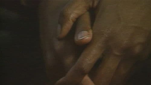 Non, je ne regrette rien Bild 2