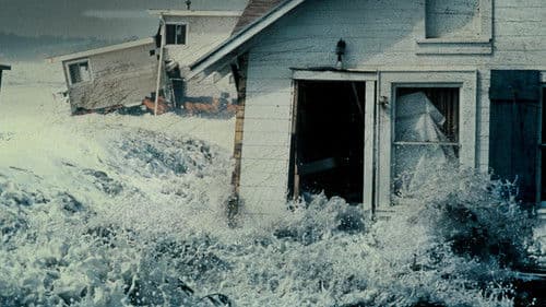 Chaos Caught on Camera Bild 1