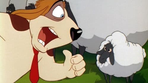 Rover & Daisy Bild 5