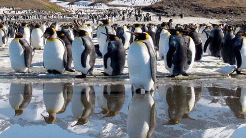 Life - Das Wunder Leben Bild 1