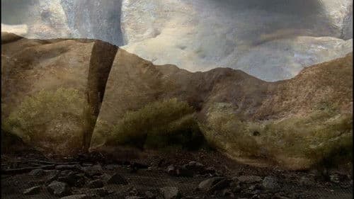 Topsy: The Last American Camel Bild 1