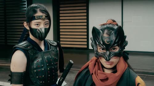 Ninja Wars - Black Fox vs Shogun's Ninja Bild 2