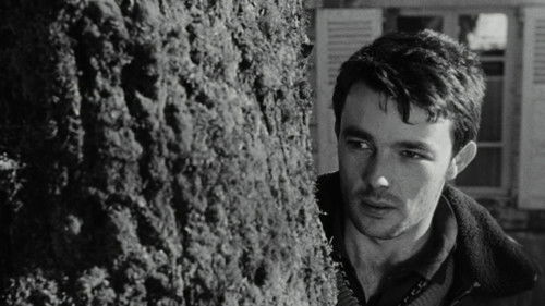 Die Enttäuschten Bild 2