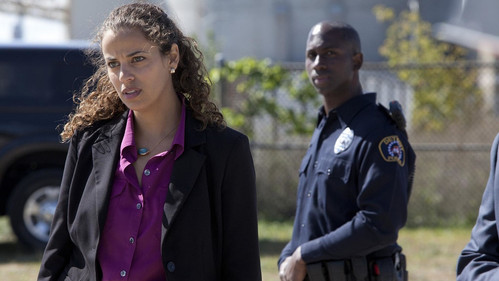 Low Winter Sun Bild 8