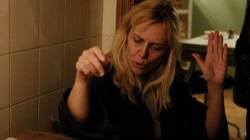 Son of the Sunshine Bild 4