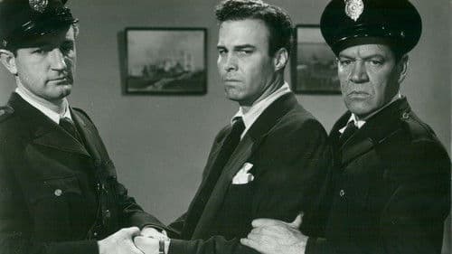 The Sun Sets at Dawn Bild 1