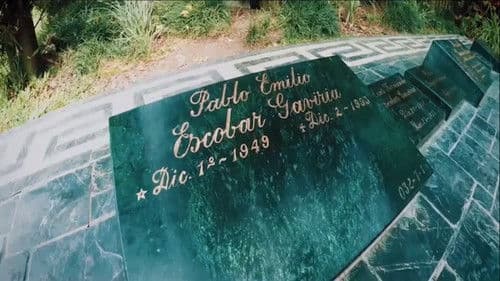 X Sicario Profesional Bild 4