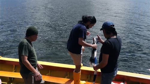 La chica del lago Bild 8