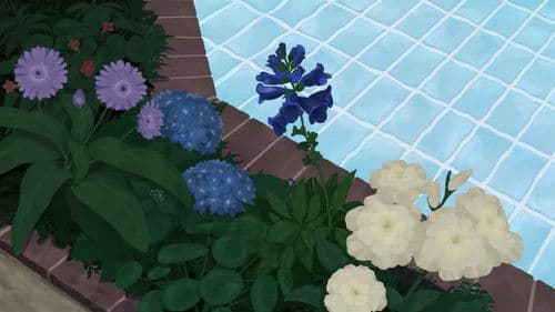 Forget Me Not Bild 1