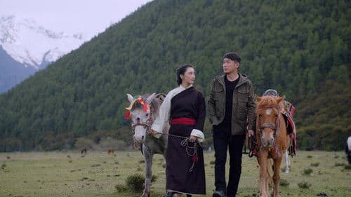 雪莲花盛开的地方 Bild 2