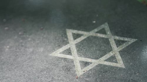 How the Holocaust Began Bild 2