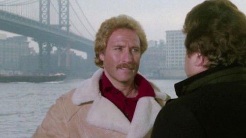 Von Corleone nach Brooklyn Bild 3