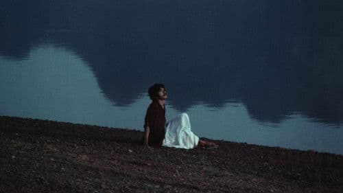 പോക്കുവെയിൽ Bild 4