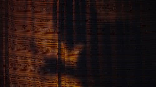 Annie's Perfect Teeth Bild 1