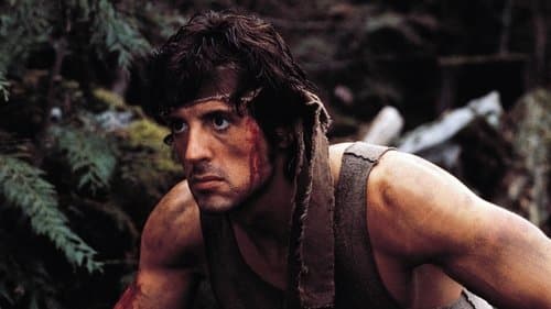 Rambo Bild 5