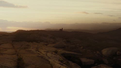 The Wanting Mare Bild 4