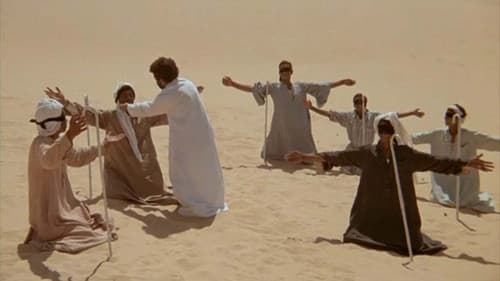 Ich werde laufen wie ein verrücktes Pferd Bild 2