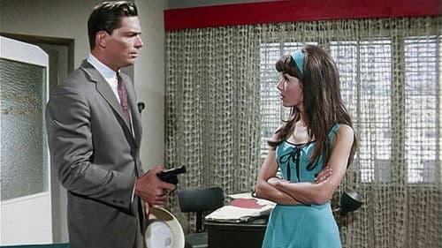 Scharfe Schüsse auf Jamaika Bild 1