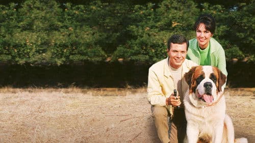 My Dog, the Thief Bild 1