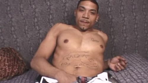 Horse Hung Hustlers 2 Bild 3