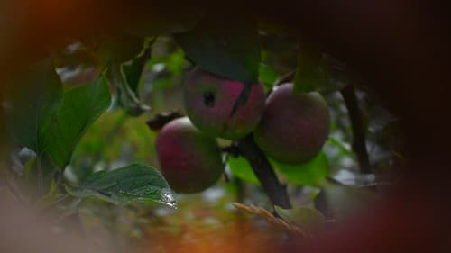 We Exist Triply Bild 1