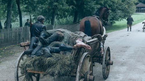 Purpurinis rūkas Bild 2