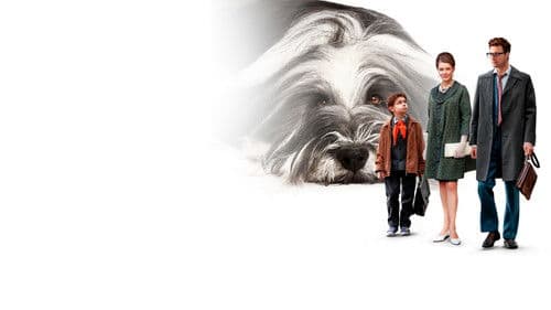 Каждый мечтает о собаке Bild 1