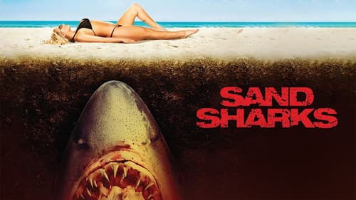 Sand Sharks Bild 8