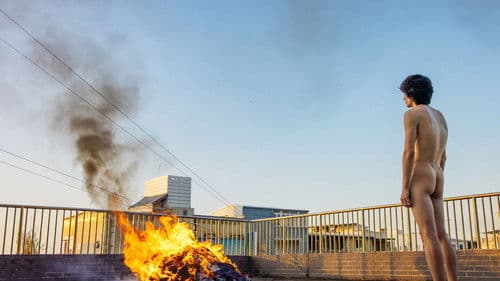 動物感傷の清晨 Bild 4