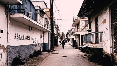 γέννημα θρέμμα Δεντροπόταμος Bild 6