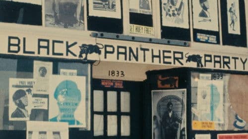 Black Panthers Bild 5