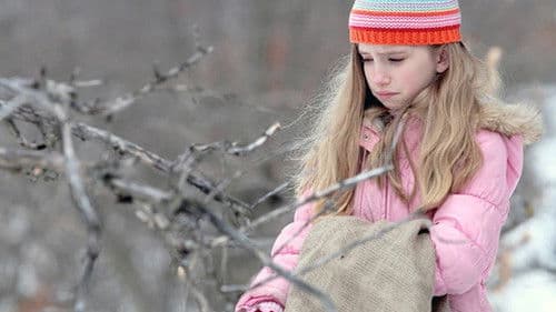 Der Weihnachtshase Bild 1