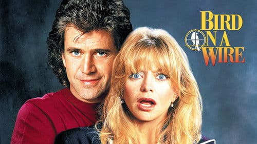 Ein Vogel auf dem Drahtseil Bild 1