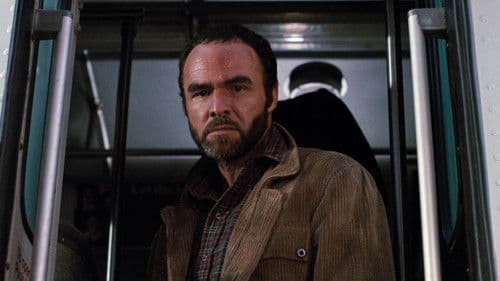 Sharky und seine Profis Bild 4